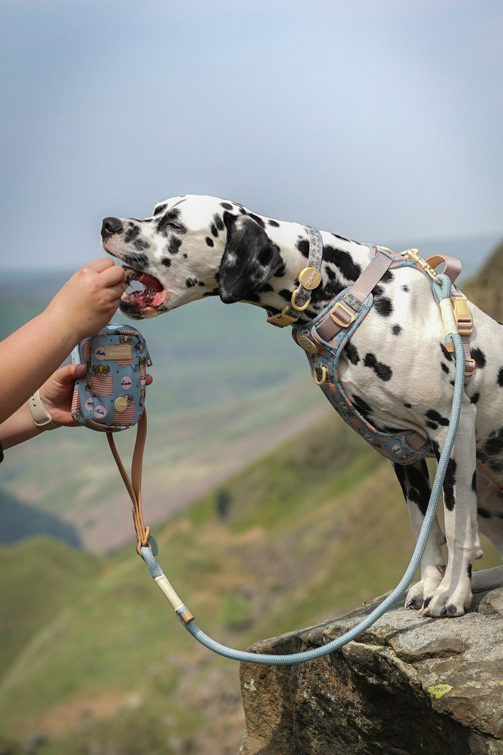 Disney© Treat + Go Bag - Lion Friends