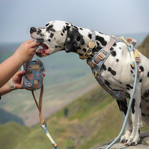 Disney© Treat + Go Bag - Lion Friends