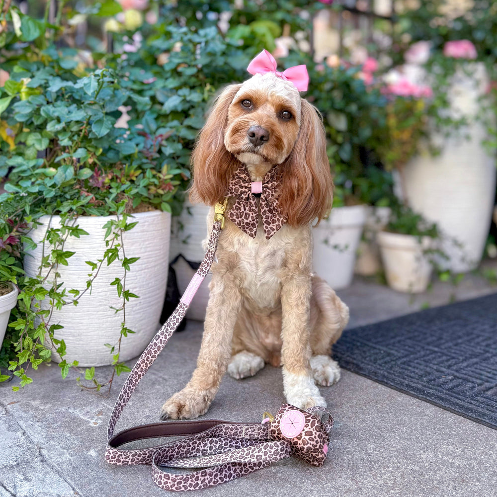 Lead - Leopard Print