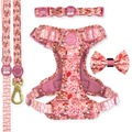 Jessie Ultimate Bundle