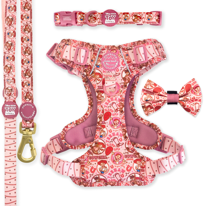 Jessie Ultimate Bundle