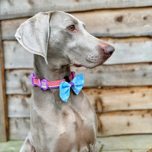 Disney© Bow Tie - Buzz Lightyear