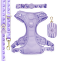 Walkies Ready Lavender Lilac Ultimate Bundle