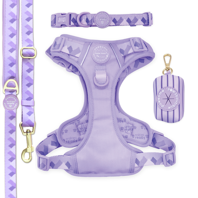 Walkies Ready Lavender Lilac Ultimate Bundle