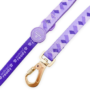 Lead - Walkies Ready® Lavender Lilac