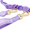 Handsfree Lead - Walkies Ready® Lavender Lilac
