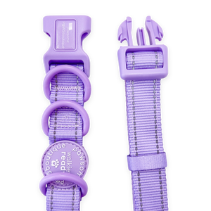 Handsfree Lead - Walkies Ready® Lavender Lilac