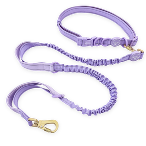 Handsfree Lead - Walkies Ready® Lavender Lilac