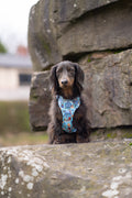 Disney© Tough Trails™ Harness - Tails Of Love