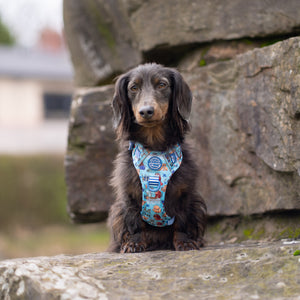 Disney© Tough Trails™ Harness - Tails Of Love