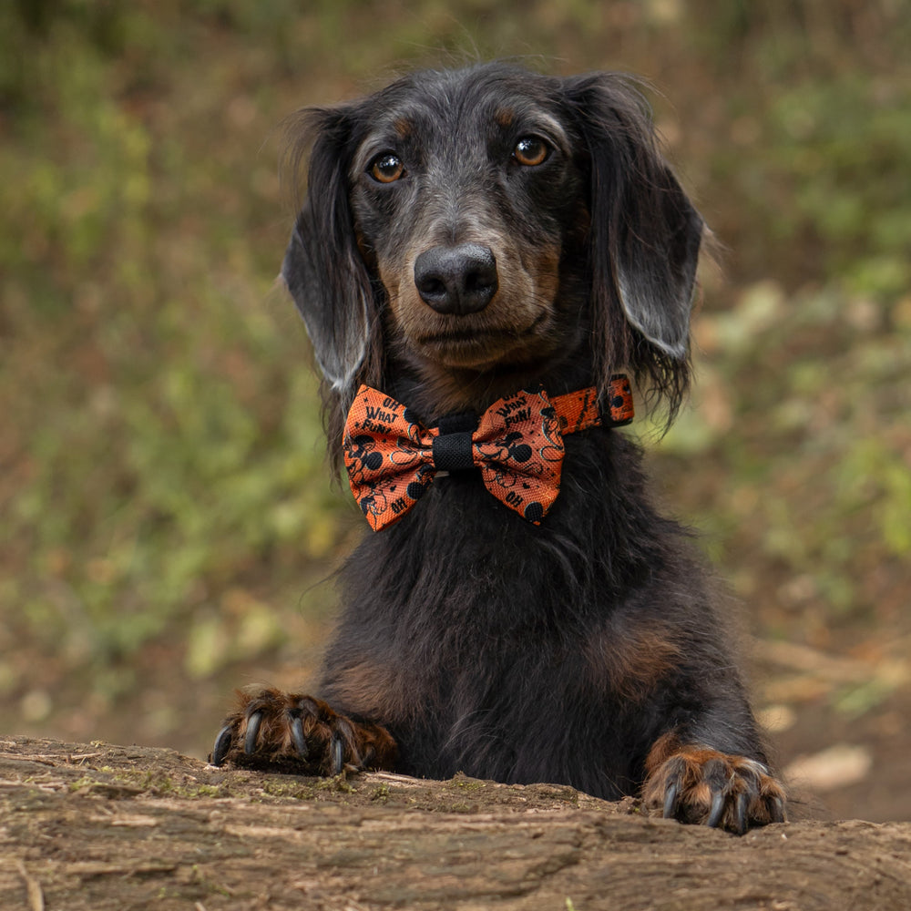 Disney© Bow Tie - Halloween