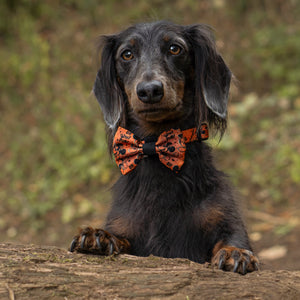 Disney© Bow Tie - Halloween