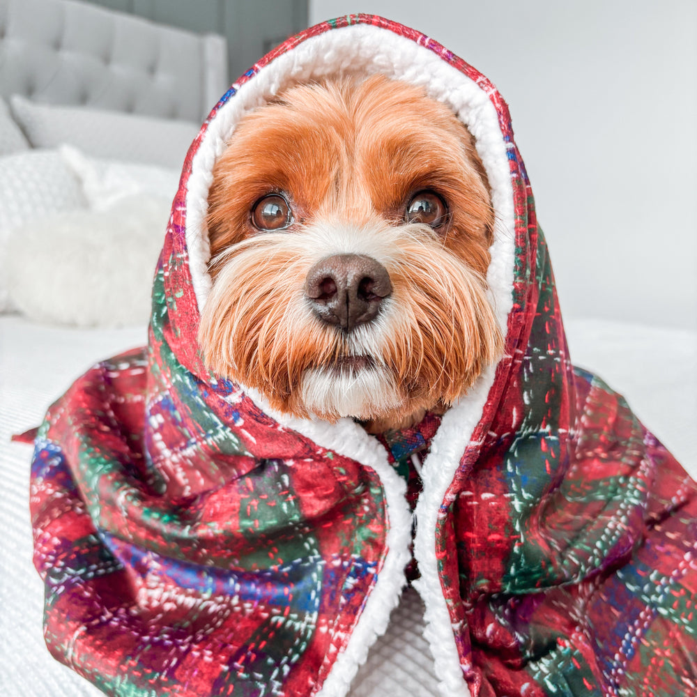 Dog Blanket - Yuletide Plaid