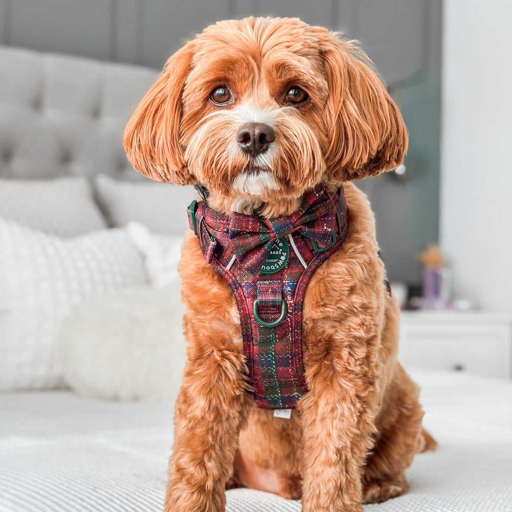 Bow Tie - Yuletide Plaid