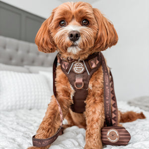 Poo Bag Holder - Walkies Ready® Chocolate Brown