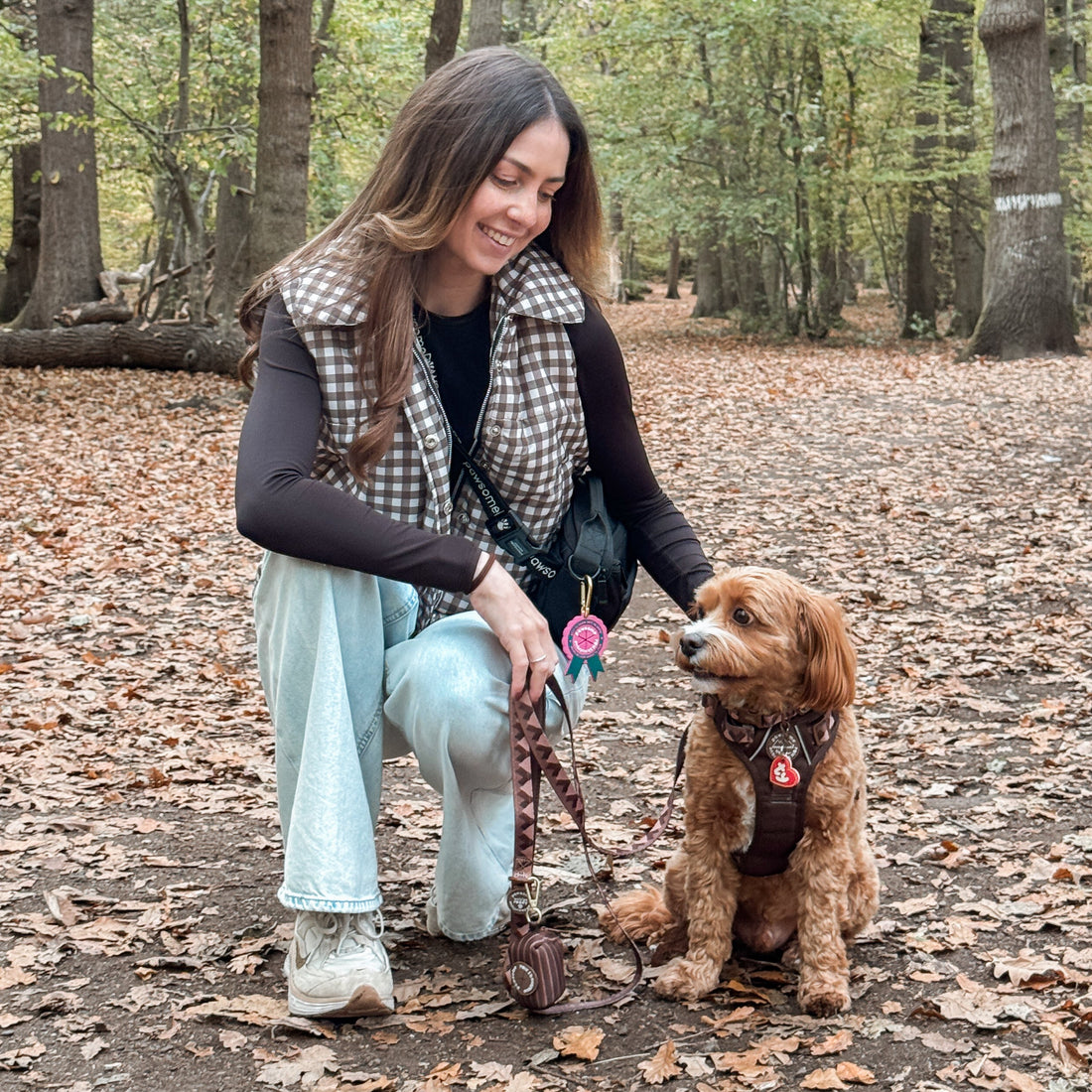 Lead - Walkies Ready® Chocolate Brown