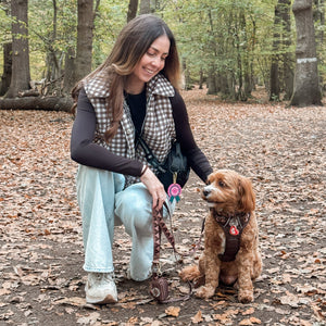 Lead - Walkies Ready® Chocolate Brown