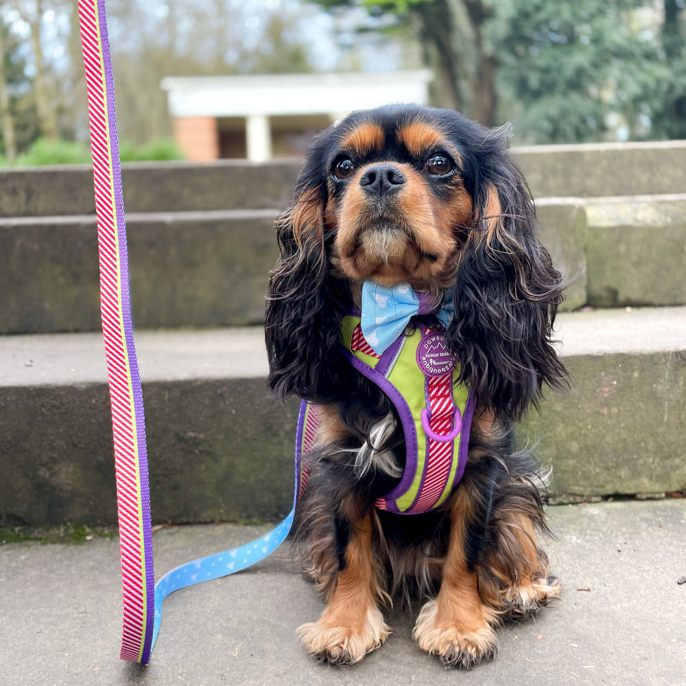 Disney© Lead - Buzz Lightyear