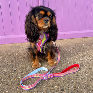 Disney© Lead - Buzz Lightyear