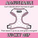 Adjustable Harness Lucky Dip