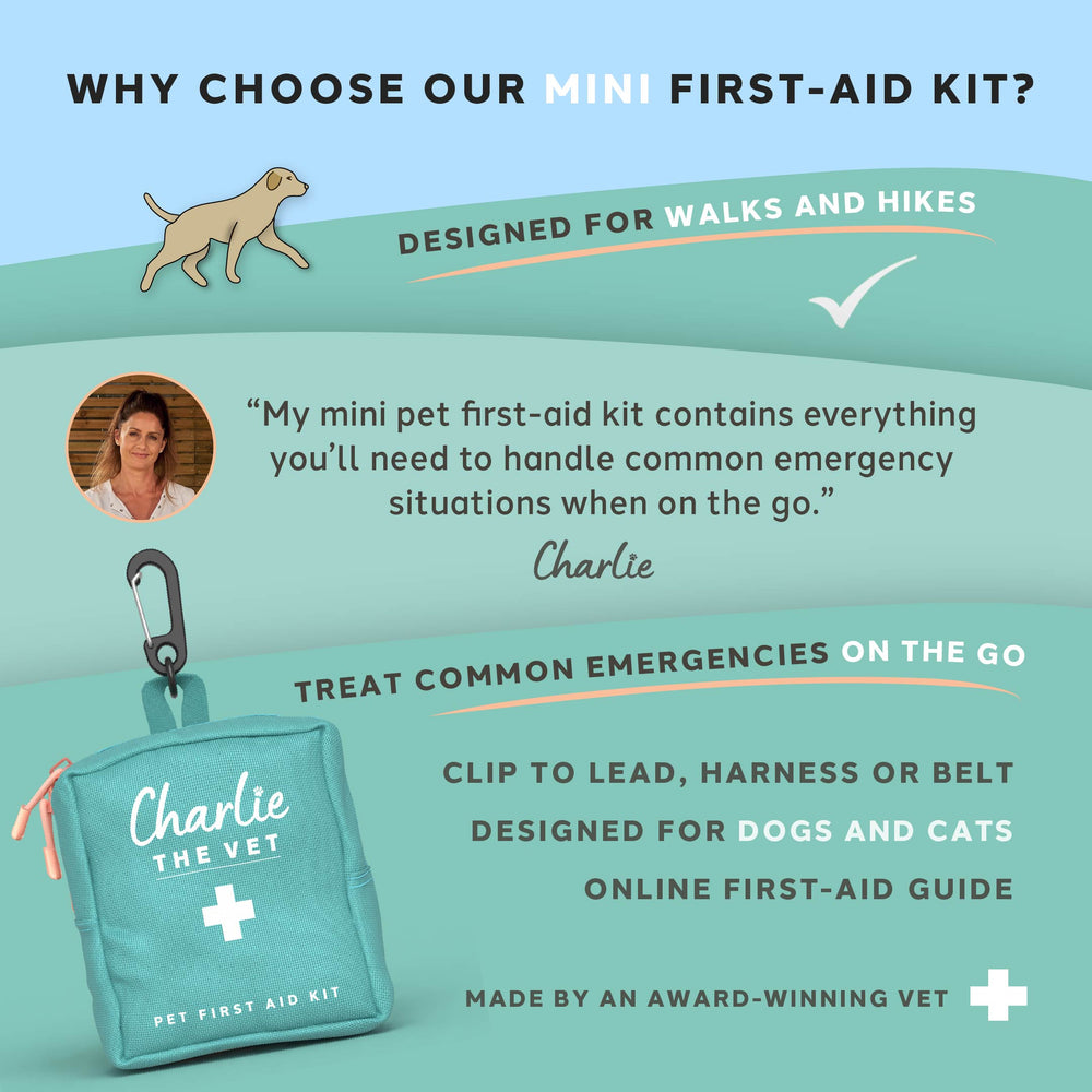 Pet First Aid Kit