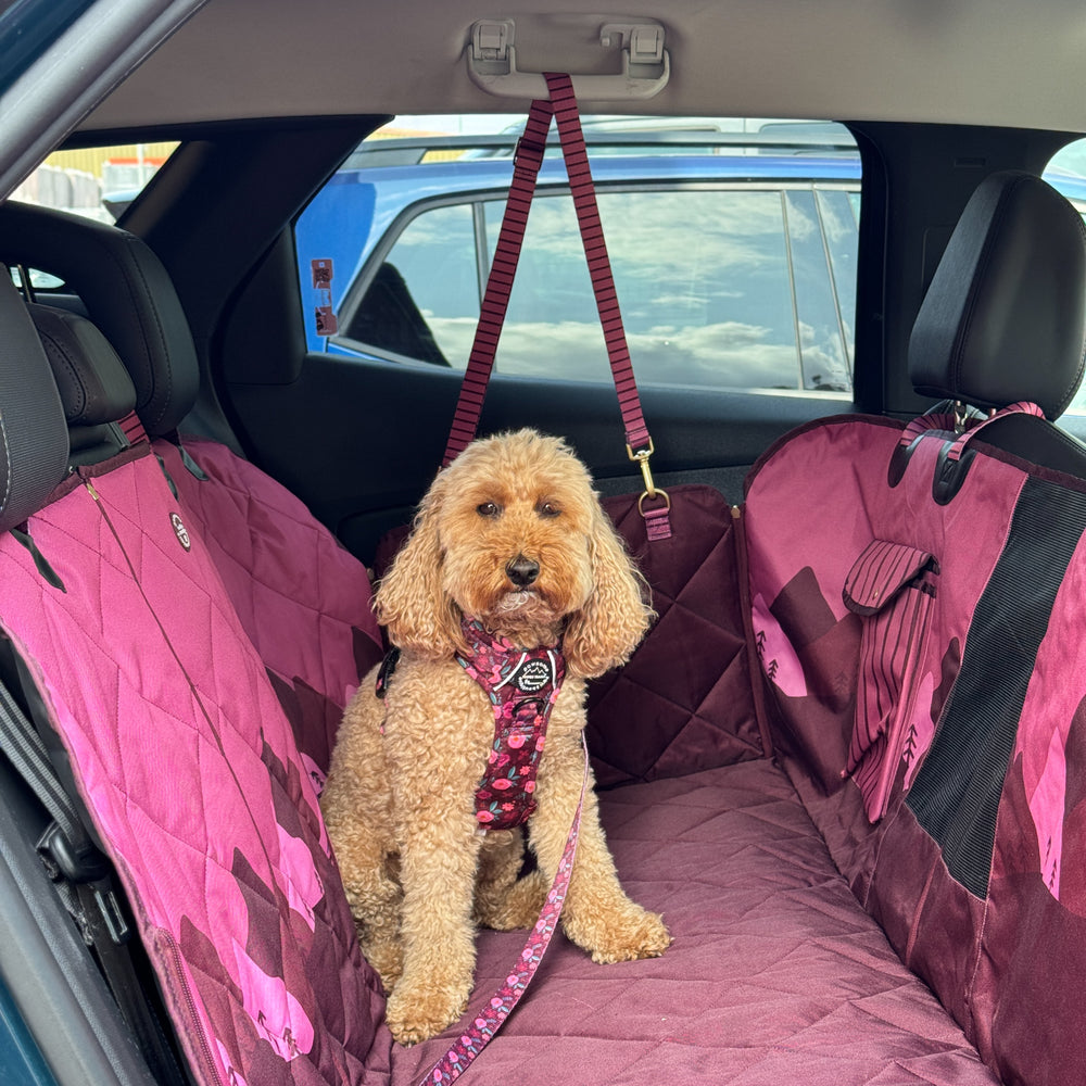 Car Seat Cover - Walkies Ready® Mulberry