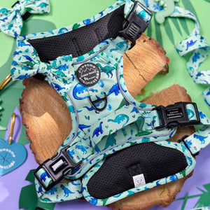 Tough Trails™ Harness - Dinky Dino