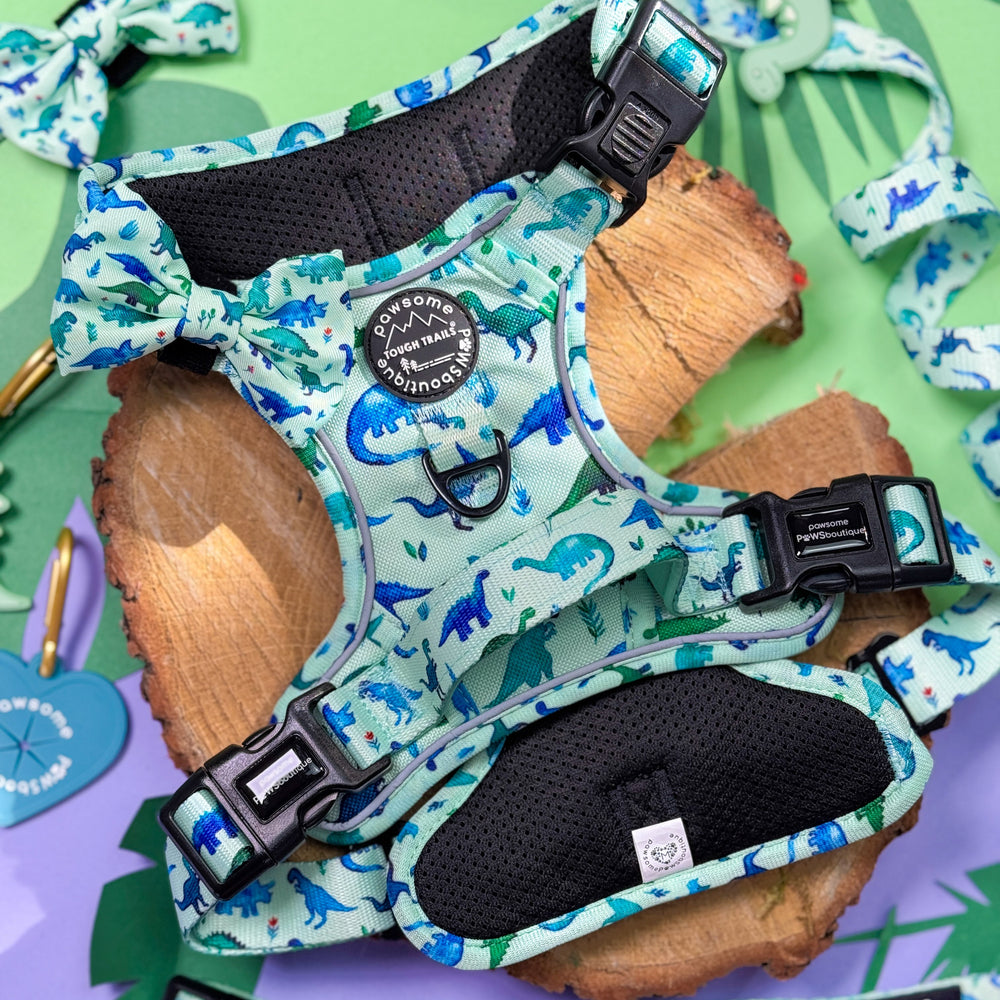 Bow Tie - Dinky Dino