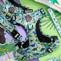 Tough Trails™ Harness - Dinky Dino