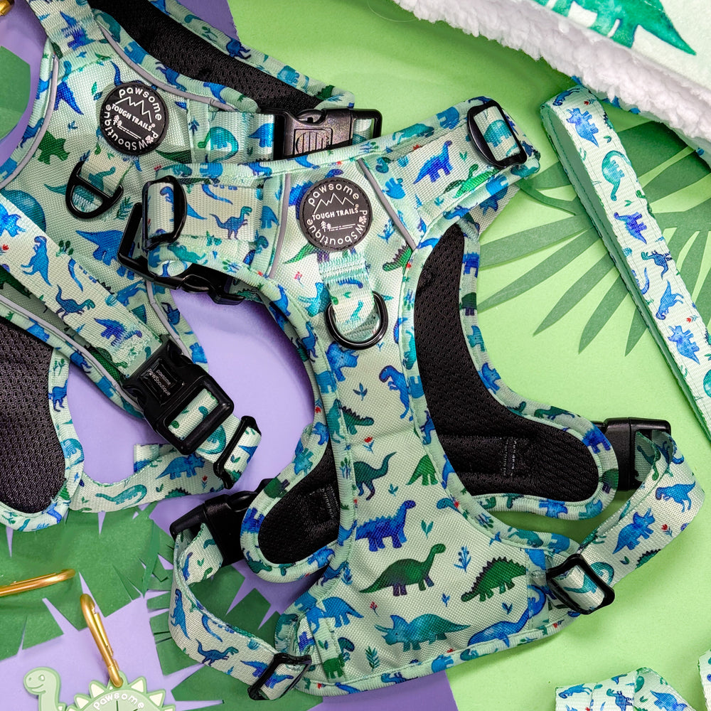 Tough Trails™ Harness - Dinky Dino