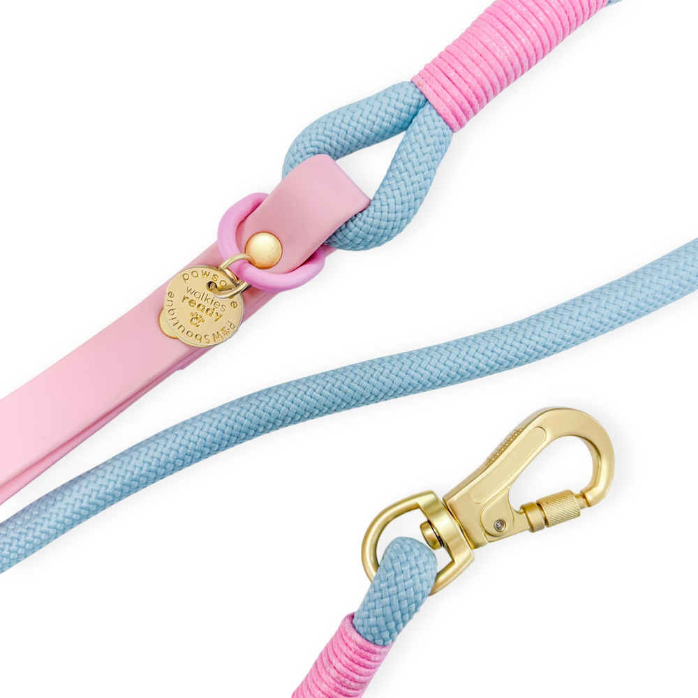 4ft Rope Lead - Pink + Blue