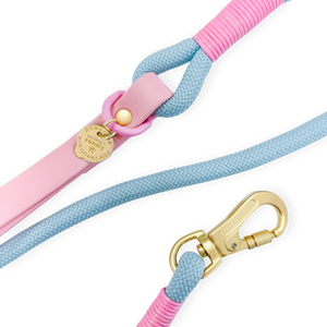 4ft Rope Lead - Pink + Blue