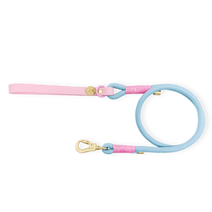 4ft Rope Lead - Pink + Blue