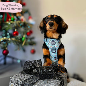 Disney© Tough Trails™ Harness - Santas Mickey Mail