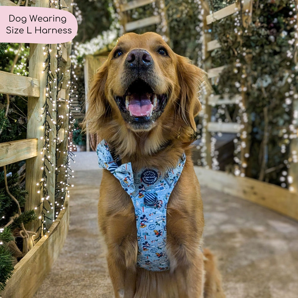 Disney© Tough Trails™ Harness - Santas Mickey Mail