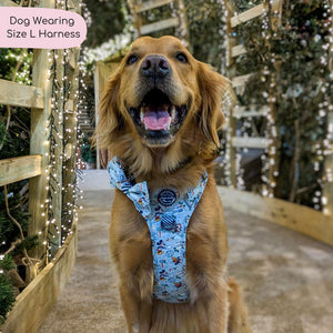 Disney© Tough Trails™ Harness - Santas Mickey Mail