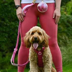 Handsfree Lead - Walkies Ready® Raspberry Pink