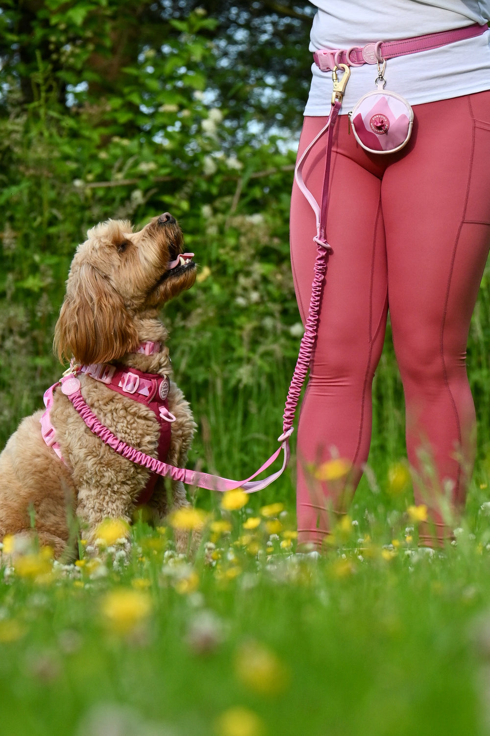 Handsfree Lead - Walkies Ready® Raspberry Pink