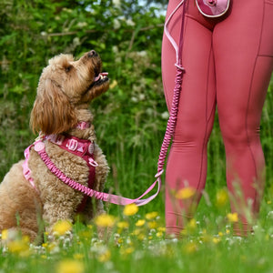 Handsfree Lead - Walkies Ready® Raspberry Pink