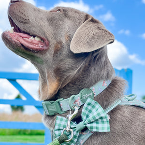 Disney© Bow Tie - Bambi + Thumper - Green Gingham