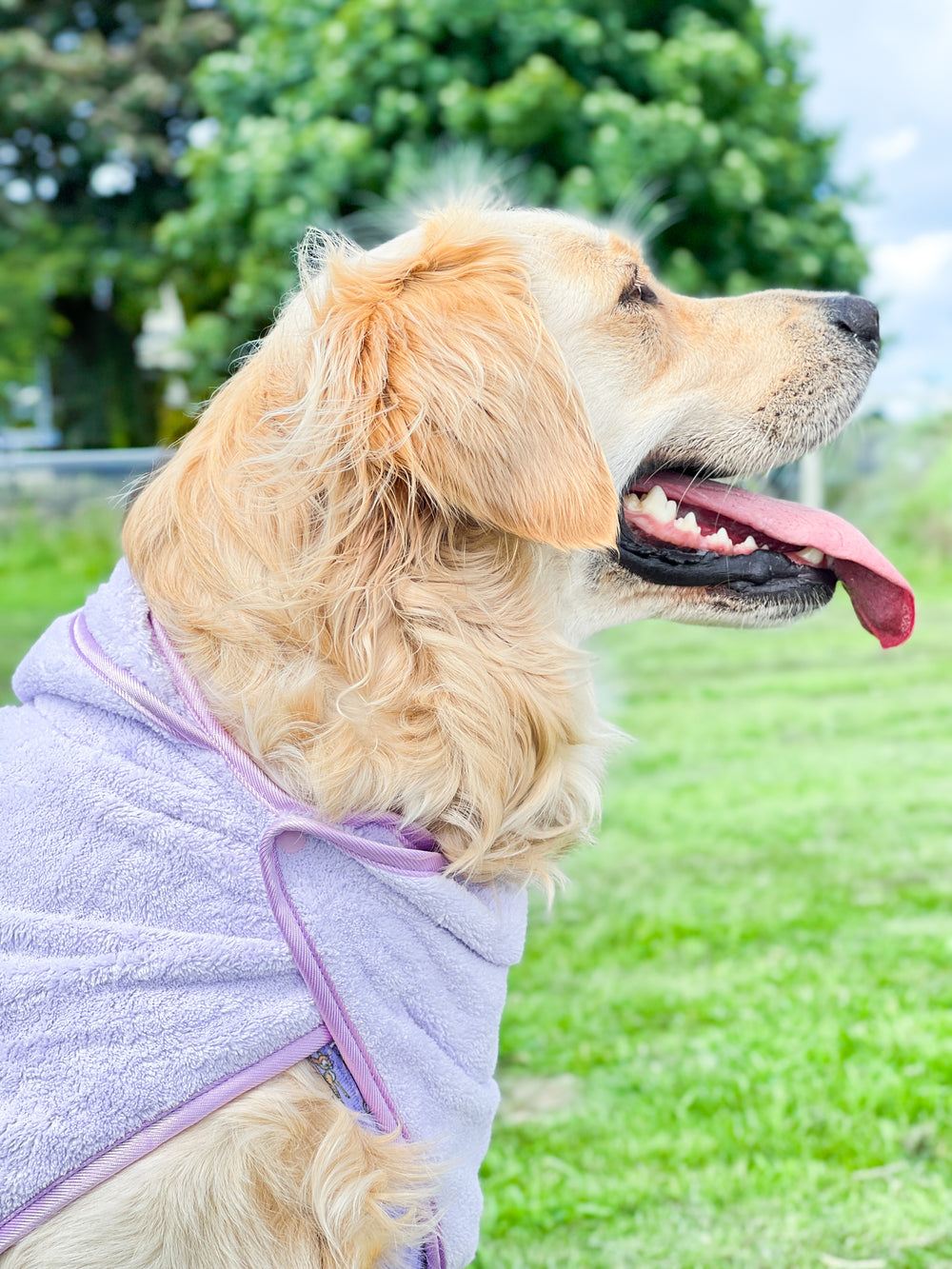 Disney© Hooded Microfibre Towel - Bambi + Friends Lilac