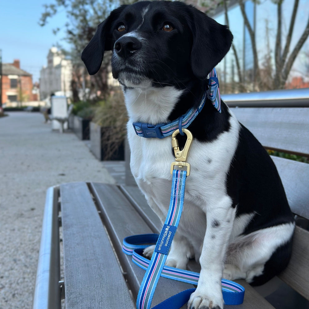 Lead - Sailor Stripes