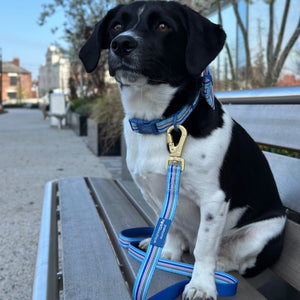 Lead - Sailor Stripes