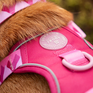 Tough Trails™ Harness - Walkies Ready® Raspberry Pink