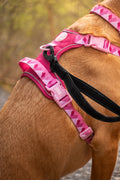 Handsfree Lead - Walkies Ready® Black