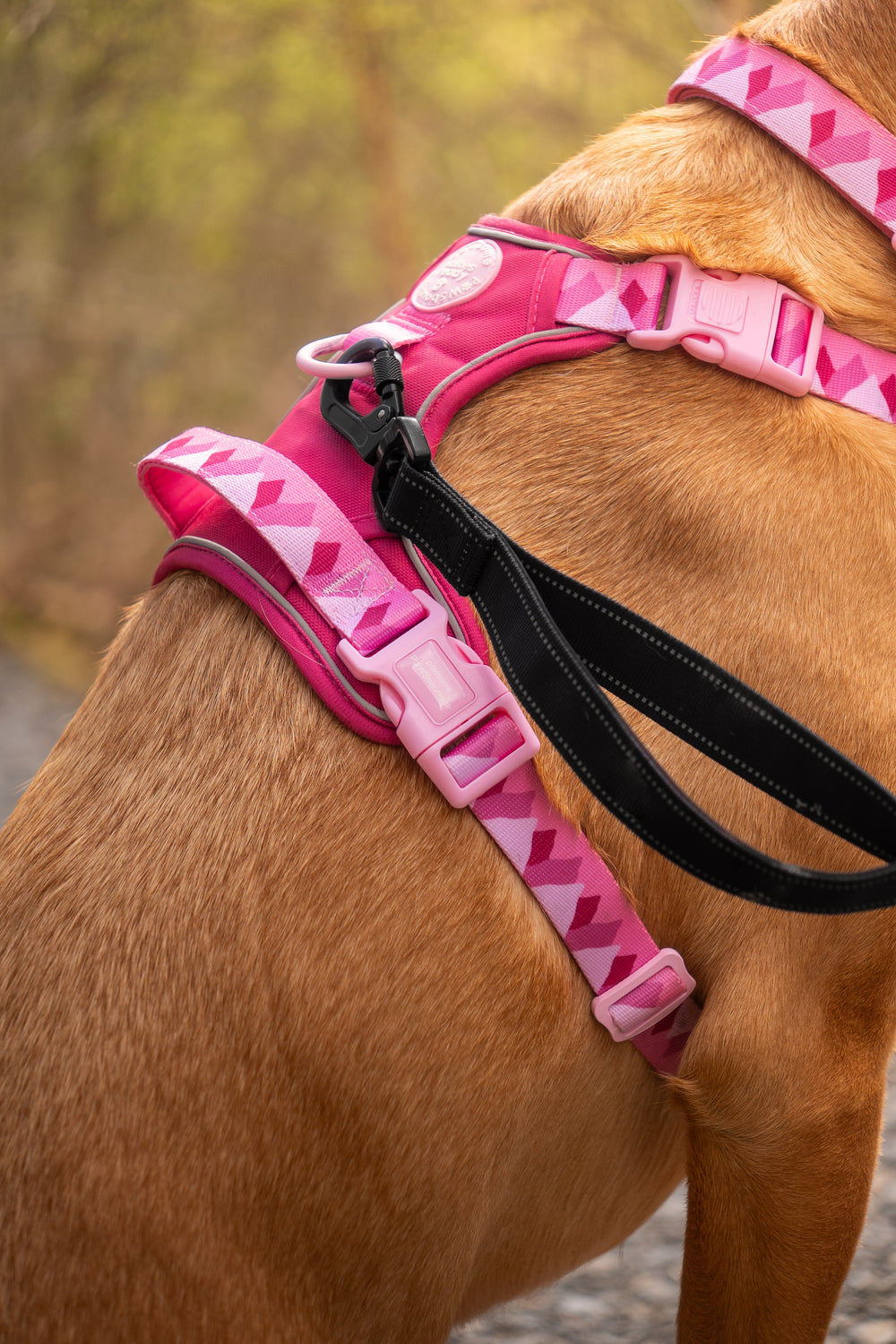 Handsfree Lead - Walkies Ready® Black