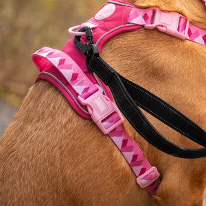 Handsfree Lead - Walkies Ready® Black