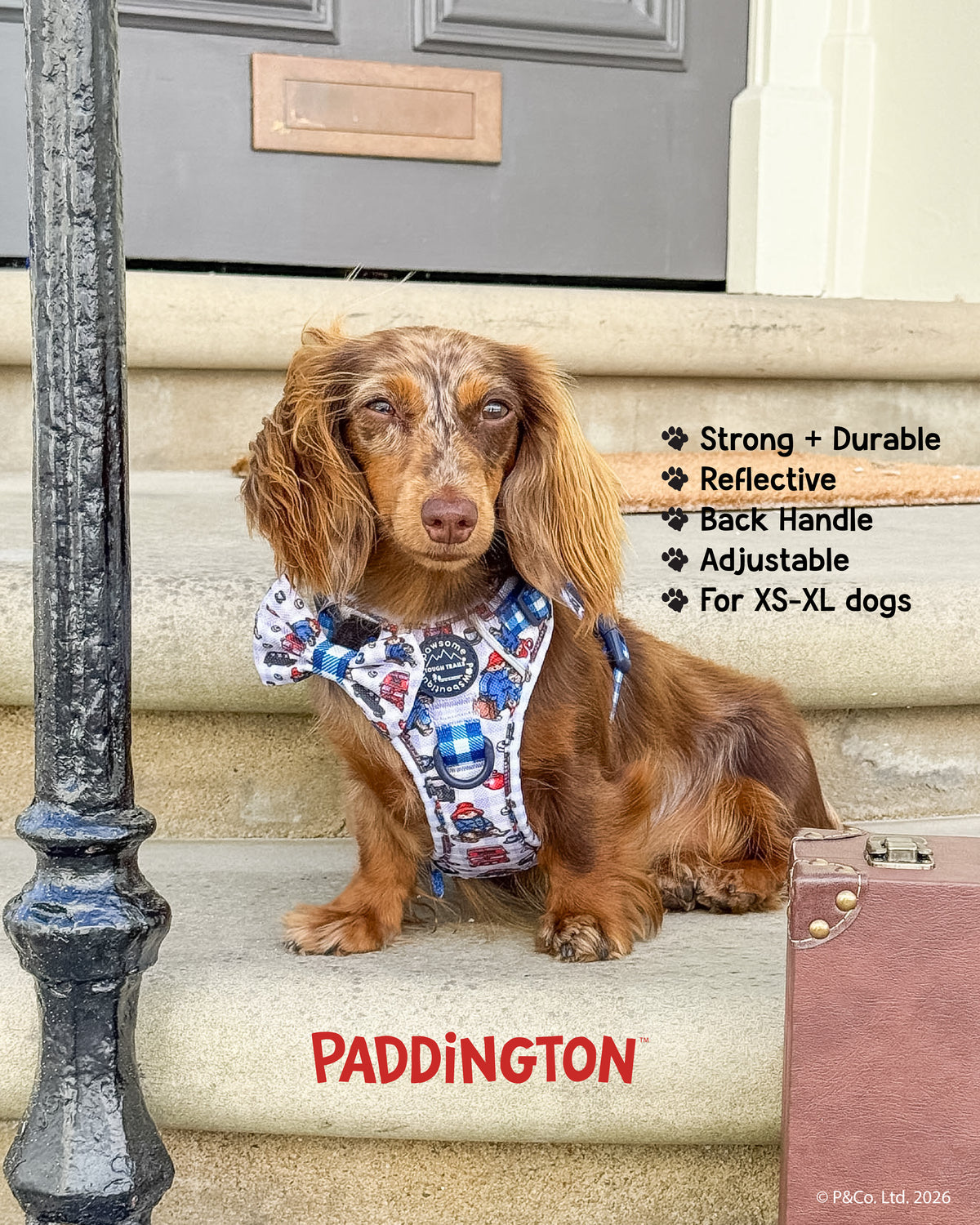 Paddington London