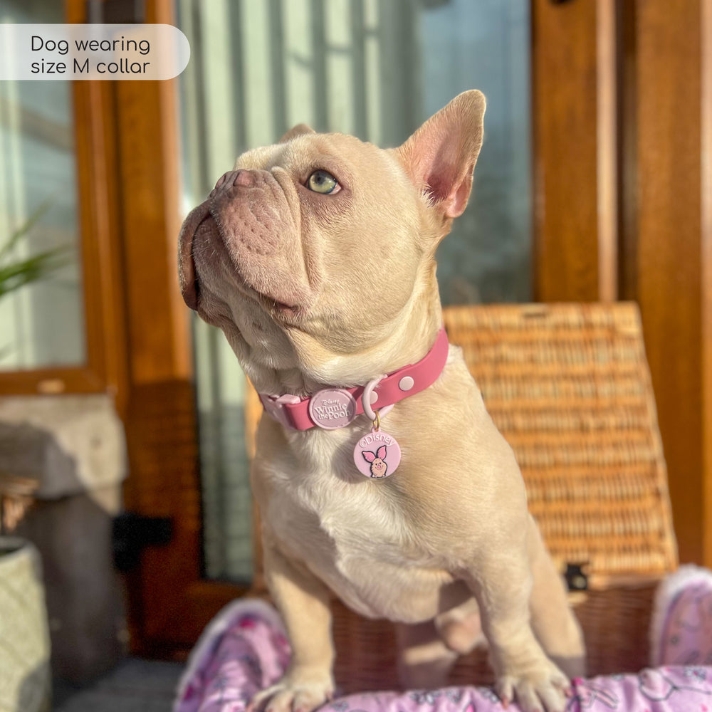 Disney© Waterproof Collar - Piglet