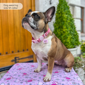 Disney© Waterproof Collar - Piglet